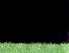 �nt�z�s ut�n